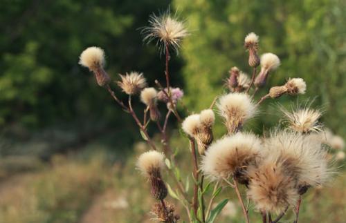 ������� � ������� 