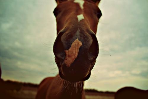 ����������� ������