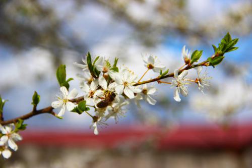 �������� �����