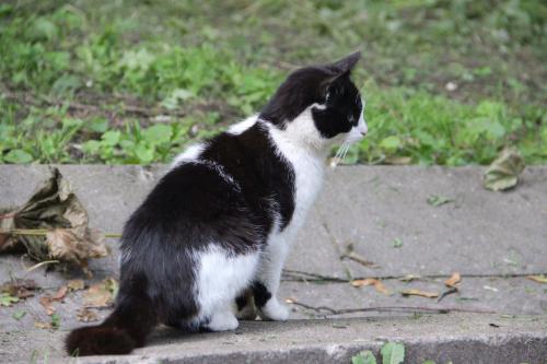 �� �����