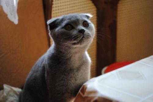 �� ����� �� ����????