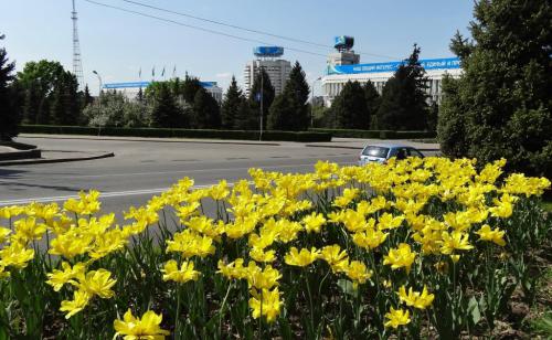 ����� ���������