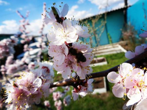 ������� � �����