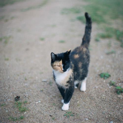 �� ������