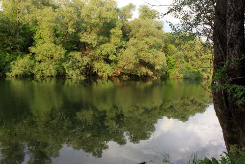 ����� � ����