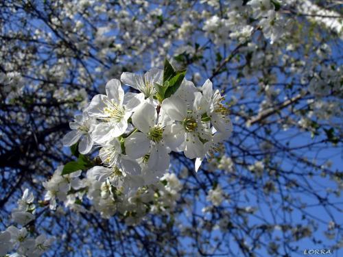 ���� �� ������