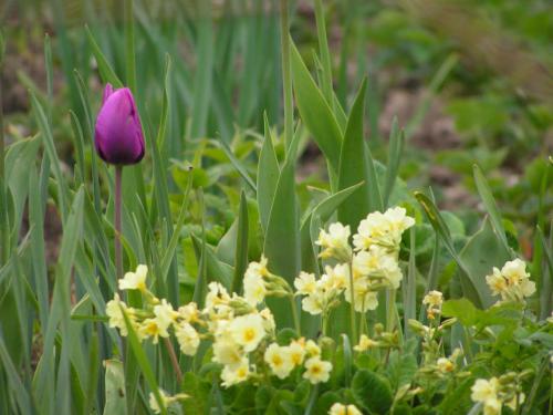 ��������� �����