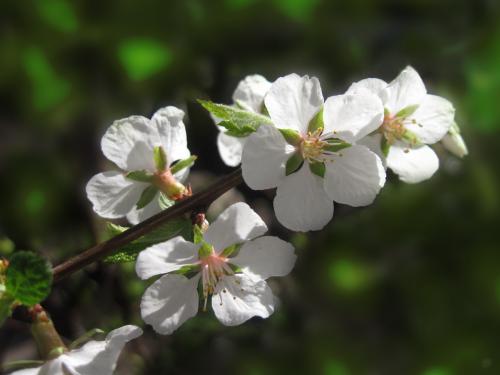 ����������� �����