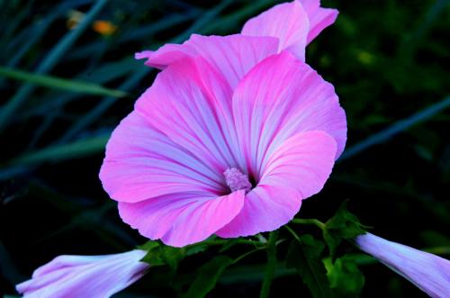 ��������� �������