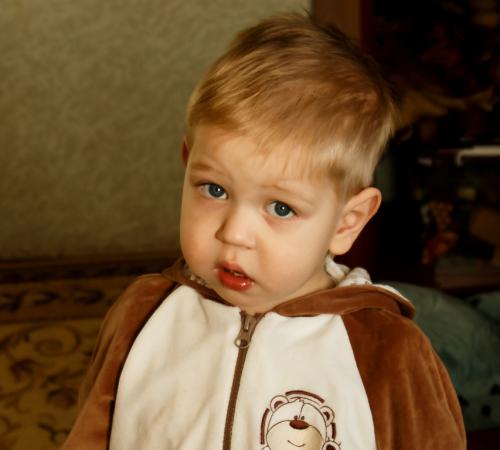 ������ ���������