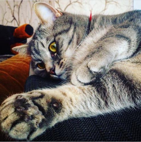 �������� ������