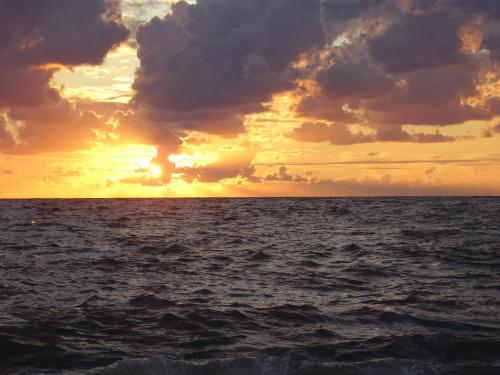 ��������� �����