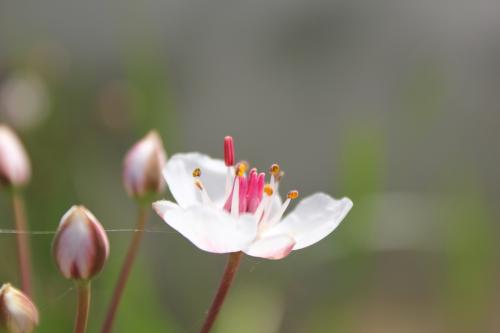 ������ �� ����