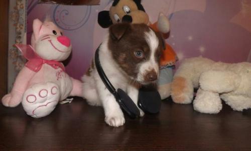 ������������� 