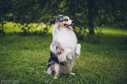 ������ ��