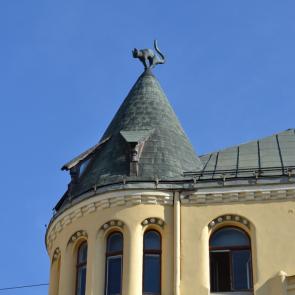 Фото: дом с кошками