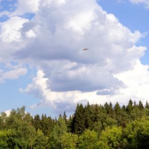 ����: ���