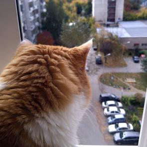 ����: �������� �����