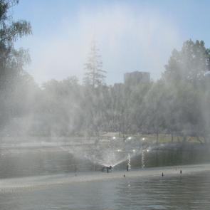 ����: ������ ���������