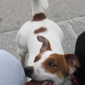 ����: ���������