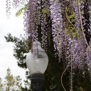 ����: ������ ���������