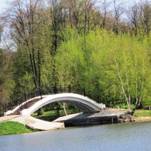 ����: ������