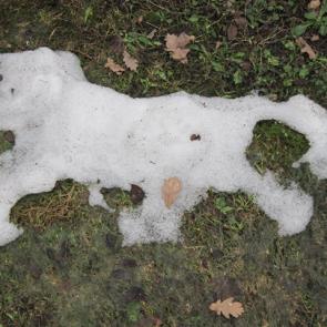 ����: ��������� ��������