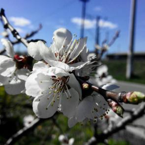 ����: �������������� �����