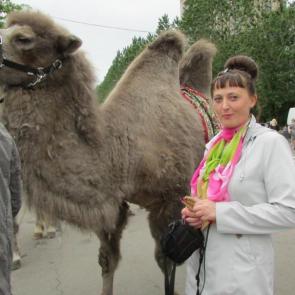 ����: ��������� ����� � �����