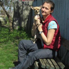 ����: ������