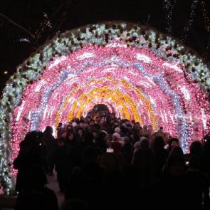 ����: �������� �������