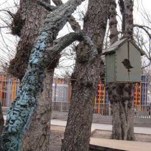 ����: ����� � ����������� �����