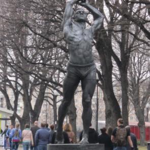 ����: ��������