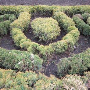 ����: ����������� ������