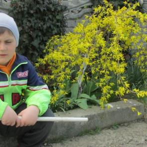 ����: ���������������