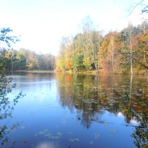 ����: ��������� ����� � �������� ����