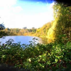 ����: ����� ����� � �������� ����