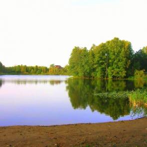 ����: ������� ����� � ���������