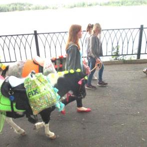 ����: ���� �� ���������� ����� � ��������