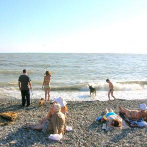 ����: ������� �������� �������