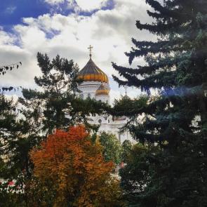 ����: ����