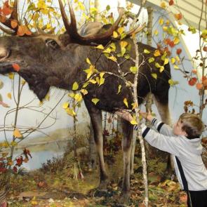 ����: �������� ����� �����������