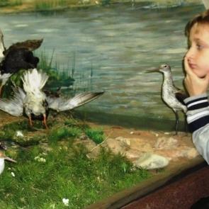 ����: ������������� �������