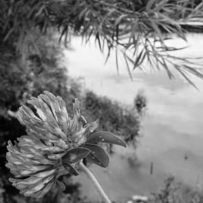 ����:    ��� ����� ������ ����� � ����   