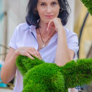 ����: ������� �����������