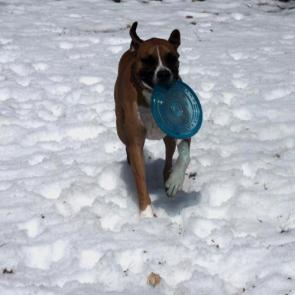 ����: ����