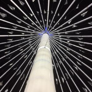 ����: ������������� ����