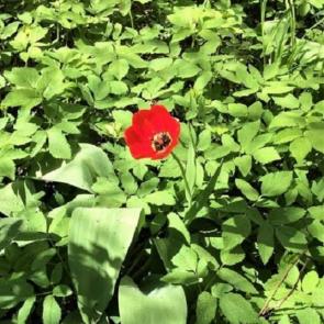 ����: ���� �� �������