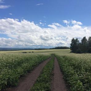 Фото: Горные чудеса 