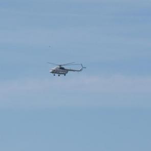 ����: �������